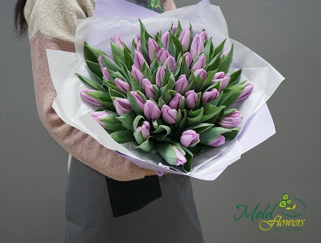 Тюльпан лавандового цвета голландский (Под заказ 10 дней ) Фото